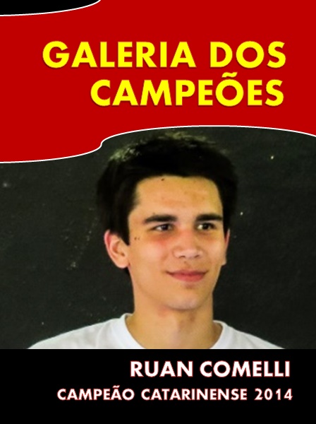 2014 RUAN COMELLI