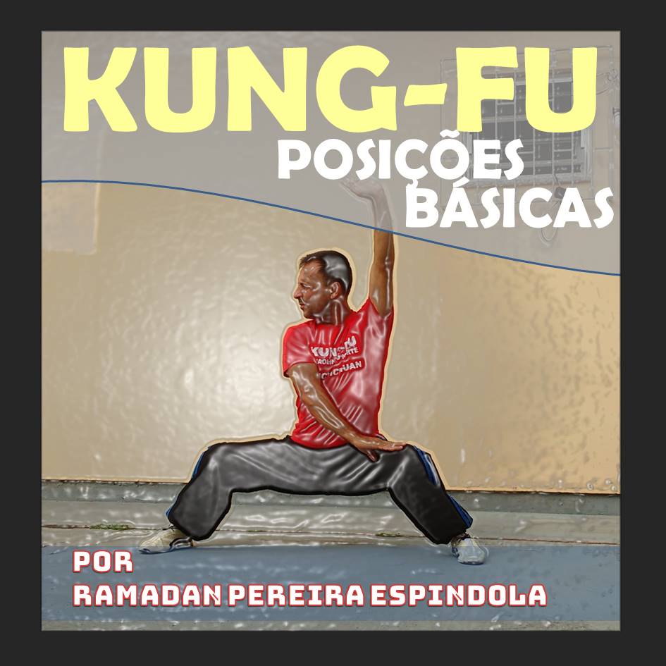 KUNG FU POSIÇÕES