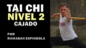 CAPA TAI CHI NIVEL 2 CAJADO