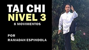 CAPA TAI CHI NIVEL3  YANG8MOV