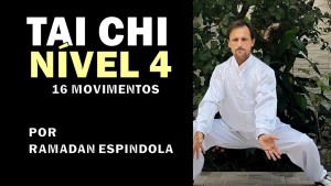 CAPA TAI CHI NIVEL4  YANG16MOV