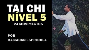 CAPA TAI CHI NIVEL5  YANG24MOV