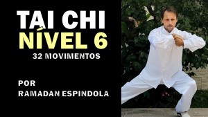 CAPA TAI CHI NIVEL6  YANG32