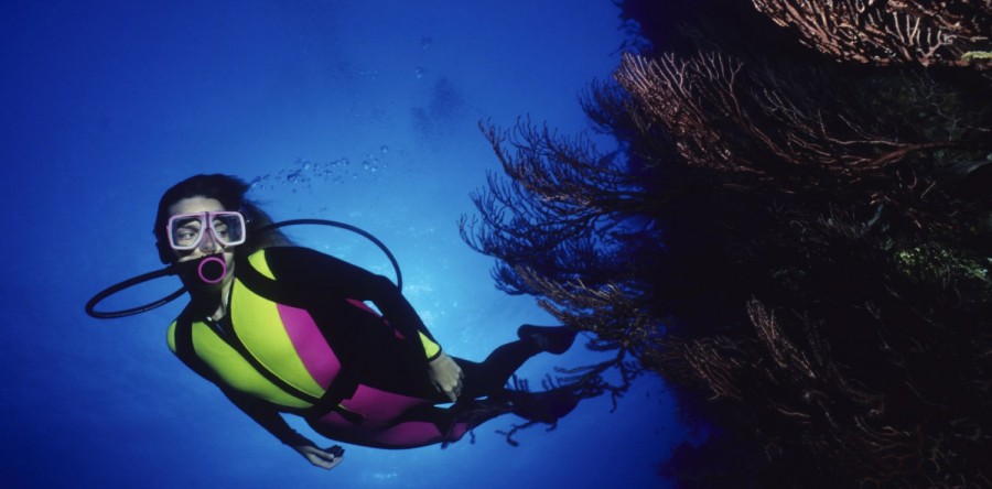 Grupos de mergulho guiado